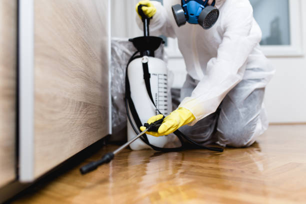 Best Flea Control Services  in Fennville, MI