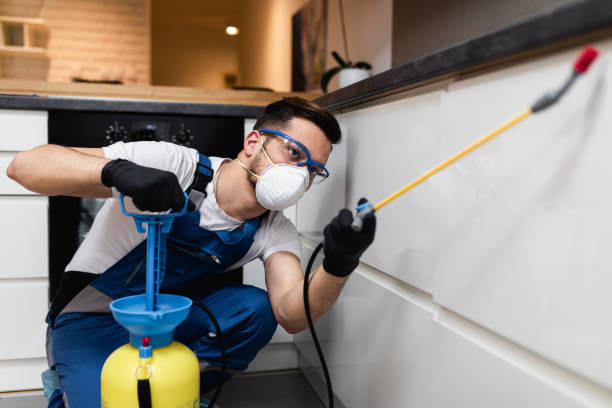 Best Affordable Pest Control Services  in Fennville, MI