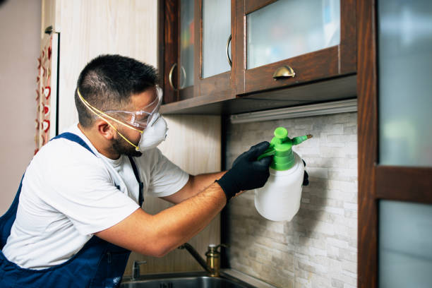 Best Emergency Pest Control  in Fennville, MI