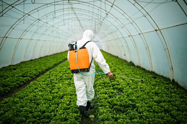 Professional Pest Control in Fennville, MI