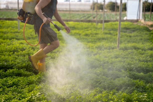 Best Mosquito Control Services  in Fennville, MI