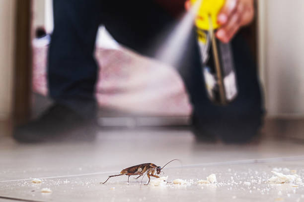 Best Cockroach Control Services  in Fennville, MI