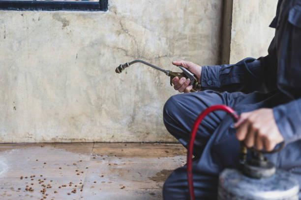 Best Affordable Exterminators  in Fennville, MI